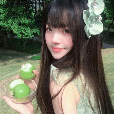 小森林 冬春篇